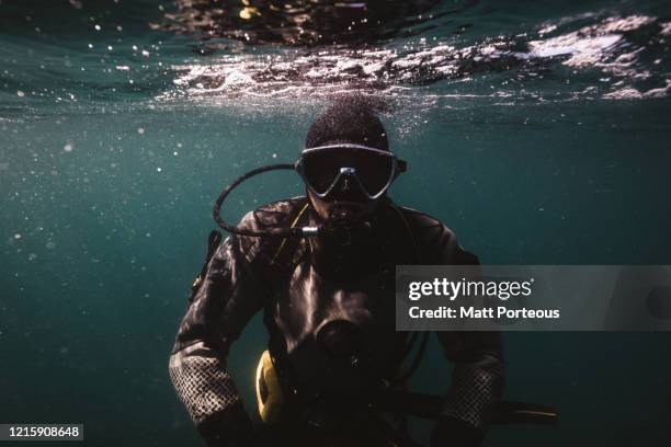 diver underwater - camera boat stock pictures, royalty-free photos & images