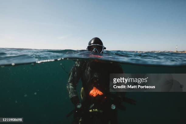 diver underwater - diving to the ground stock-fotos und bilder