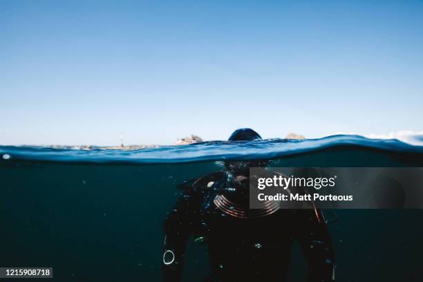 diver underwater - deep water stock pictures, royalty-free photos & images