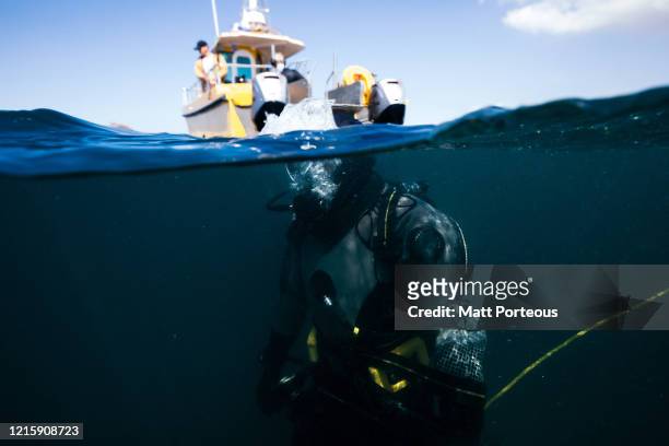 fishermen diving - camera boat stock pictures, royalty-free photos & images