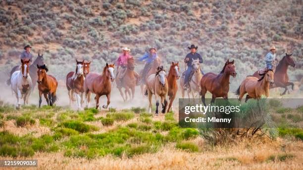Stampede Run Stampede Horses Photos and Premium High Res Pictures - Getty Images