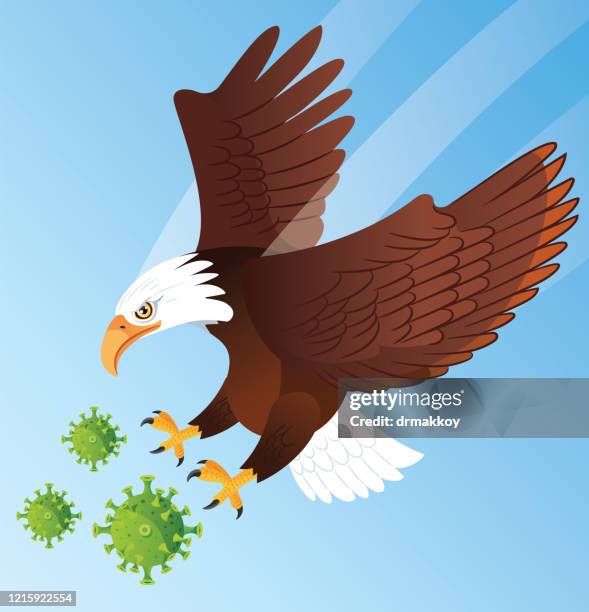bald eagle and coronavirus - bald eagle flying stock illustrations