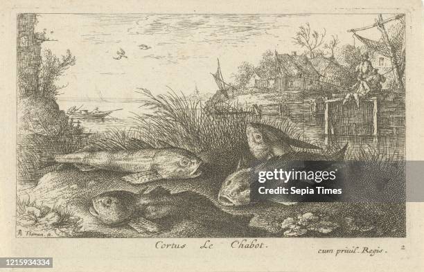 Chub, Squalius cephalus on a riverbank, print maker: Albert Flamen, Jacques van Merlen, 1664.