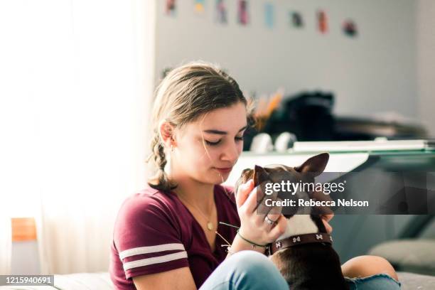 teenage girl snuggling with her dog - boston terrier photos et images de collection