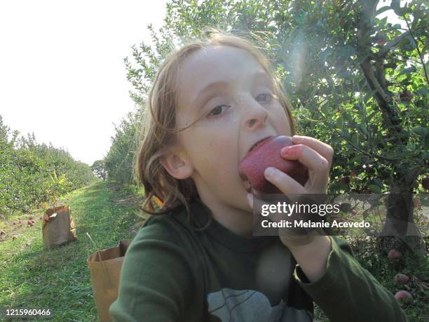 young red headed girl eating red apple on apple farm close up apple trees in background light leak - kids play apple photos et images de collection