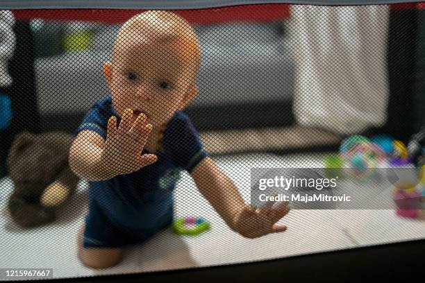 baby playing with ball behind safety gates - baby gate stock pictures, royalty-free photos & images