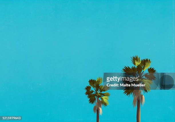 palm trees against blue sky - holiday stock illustrations