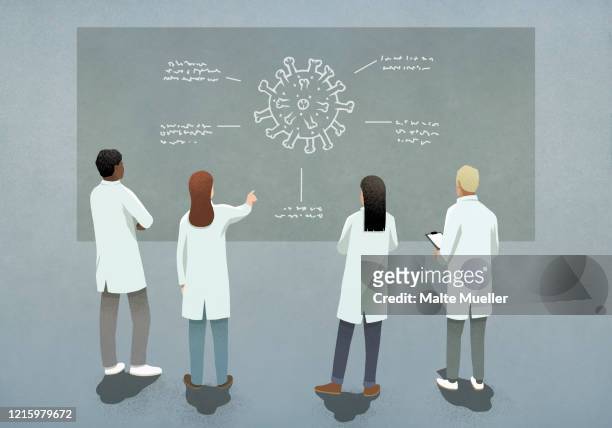 scientists discussing covid-19 coronavirus diagram - education stock illustrations