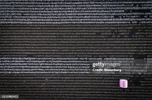 Module of cotton sits in a field during a harvest in this aerial photograph near Gunnedah, New South Wales, Australia, on Thursday, May 28, 2020....