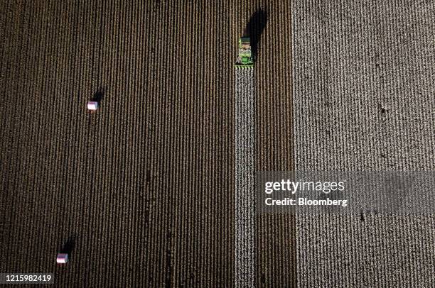 Farmer operates a cotton stripper while harvesting cotton in a field in this aerial photograph near Gunnedah, New South Wales, Australia, on...