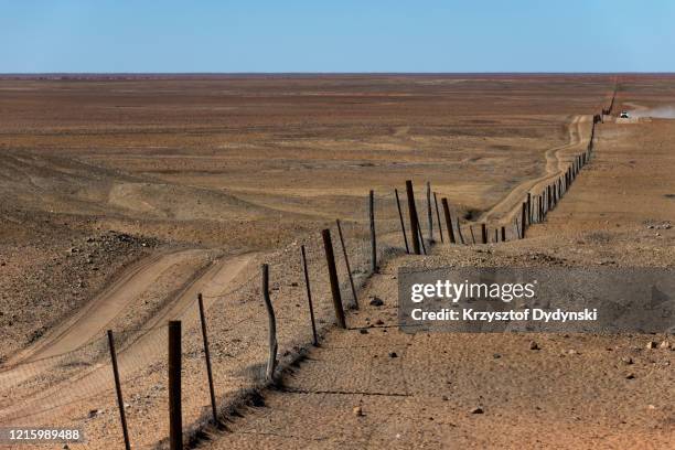 dingo fence, south australia - dingo fence stockfoto's en -beelden