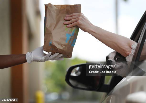 Dog peeks out as a Taco Bell employee delivers an order to a customer at the drive-up window of the restaurant on March 31, 2020 in Hollywood,...