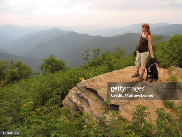 pregnant woman and her dog hiking in mountains - asheville stock pictures, royalty-free photos & images