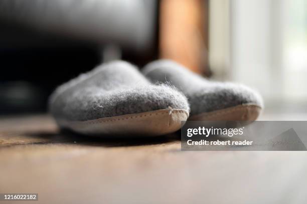 a pair of grey wool felt slippers - chinelos imagens e fotografias de stock