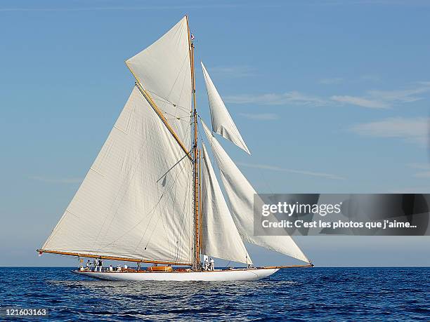 sailing boat - st tropez stockfoto's en -beelden