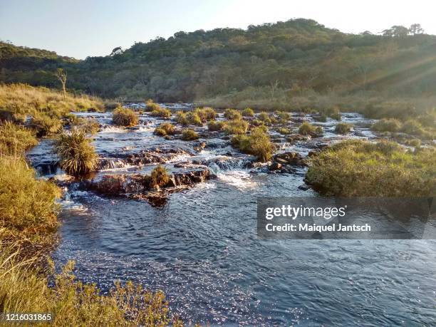 a stream in brazil at the sunset - hill range stock pictures, royalty-free photos & images
