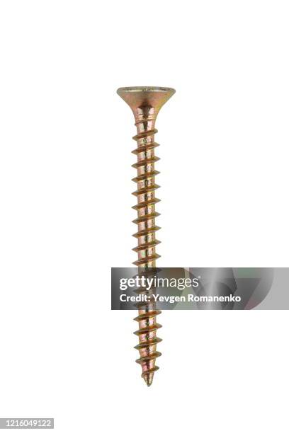 self tapping screw isolated on white background - head wound - fotografias e filmes do acervo