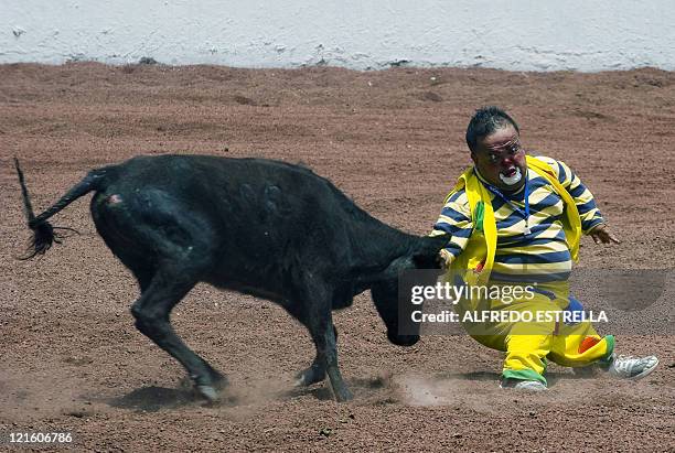 Praxedis Martinez aka "Pompon" part of a group of bullfighter dwarfs, performs at the rodeo in Zacatlan, Puebla state, Mexico, on August 20, 2011....