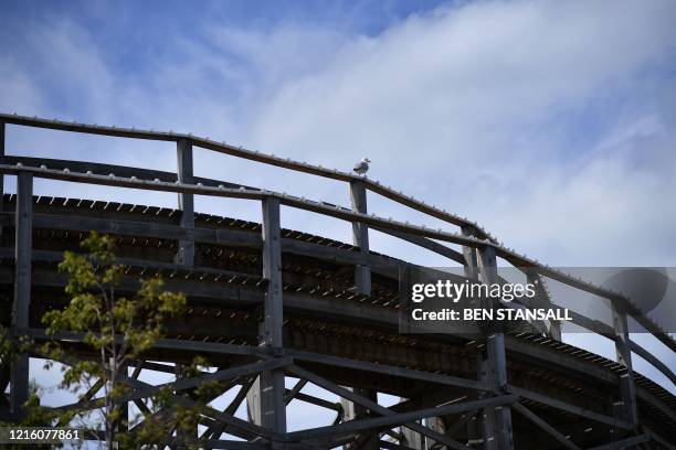 Gull sits atop the Scenic Railway, a wooden roller coaster opened in 1920 at the Dreamland amusement park in Margate south east England, on May 16...
