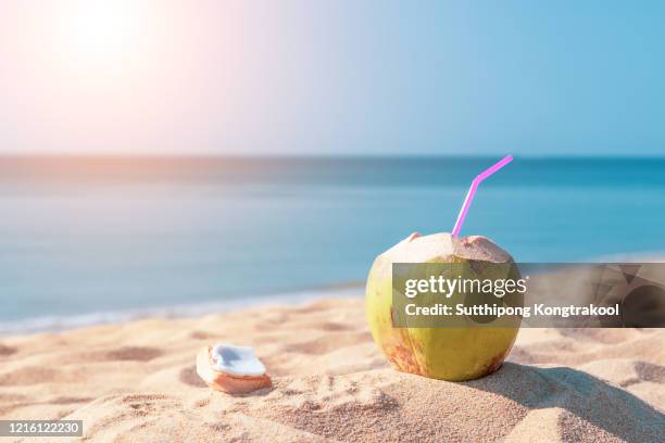 sweet green coconuts water with drinking straw on sand beach at phuket  thailand . - coconut water 個照片及圖片檔