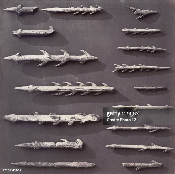 Harpoon tips. Made of antler, with barb on one or both sides. Photographed by Stephen Thompson. Photographs of the collections of the British Museum.