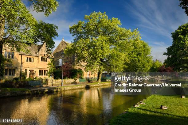 cafe and village hall in morning sun reflected in river windrush with sleeping ducks and bridge in bourton-on-the-water village in the cotswolds england - queens bridge stock pictures, royalty-free photos & images