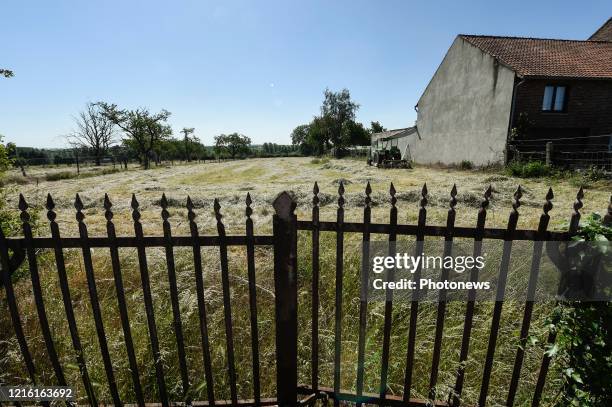 Droogte in Limburg - Sécheresse au Limbourg Lauwe pict. By Bert Van den Broucke © Photo News via Getty Images)