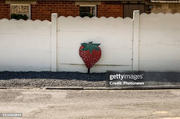 Droogte in Limburg - Sécheresse au Limbourg Lauwe pict. By Bert Van den Broucke © Photo News via Getty Images)