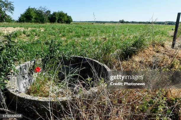 Droogte in Limburg - Sécheresse au Limbourg Lauwe pict. By Bert Van den Broucke © Photo News via Getty Images)