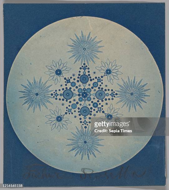 [Frustules of Diatoms], ca. 1870, Cyanotype, 9.8 x 7.9 cm , Photographs, Attributed to Julius Wiesner .