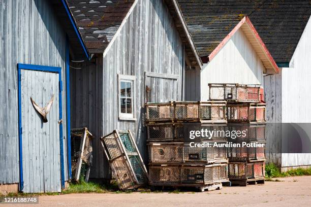 milligan wharf, fishermen's huts and lobster traps - prince edward island stock-fotos und bilder