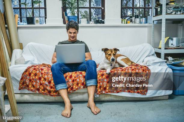 spending time with his connections and furry companion - bachelor apartment stock pictures, royalty-free photos & images