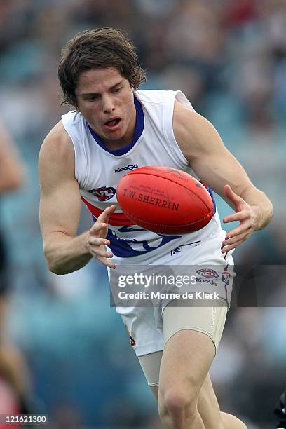 Jason Tutt of the Bulldogs wins the ball during the round 22 AFL match between the Port Adelaide Power and the Western Bulldogs at AAMI Stadium on...