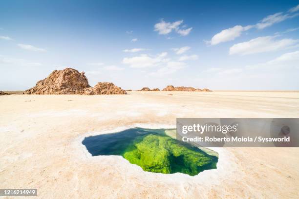 natural pond in the salt flat, danakil depression, afar region, ethiopia, africa - rift valley stock pictures, royalty-free photos & images