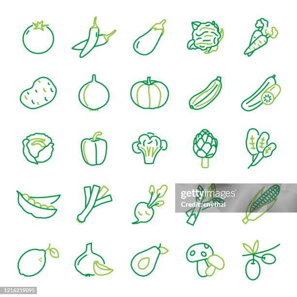 set of vegetables related line icons. editable stroke. simple outline icons. - radish stock illustrations