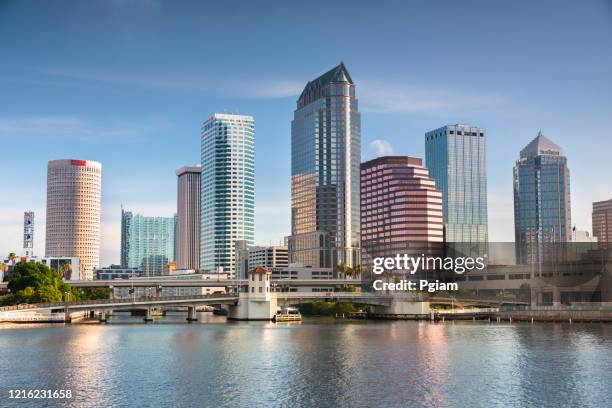 tampa florida usa downtown city skyline in the morning - tampa day stock pictures, royalty-free photos & images