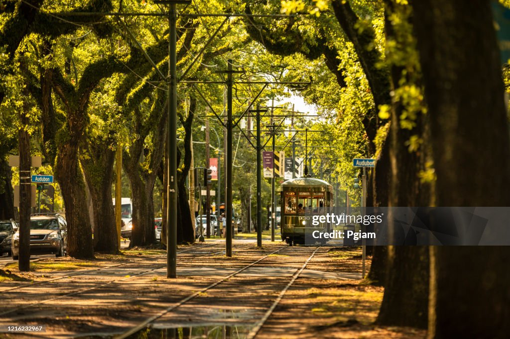 Streetcar travels along St. Charles Avenue in New Orleans Louisiana