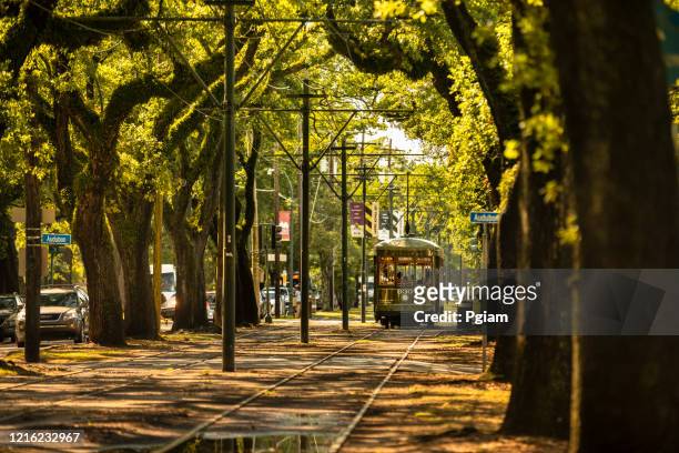 streetcar travels along st. charles avenue in new orleans louisiana - new orleans stock pictures, royalty-free photos & images
