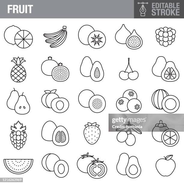 ilustraciones, imágenes clip art, dibujos animados e iconos de stock de conjunto de iconos de trazo editable de frutas - piña