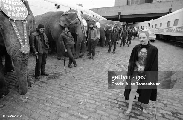 An unidentified circus performer past a line of elephants and elephant trainers from the Barnum & Bailey Circus as they disembark from the trains ,...