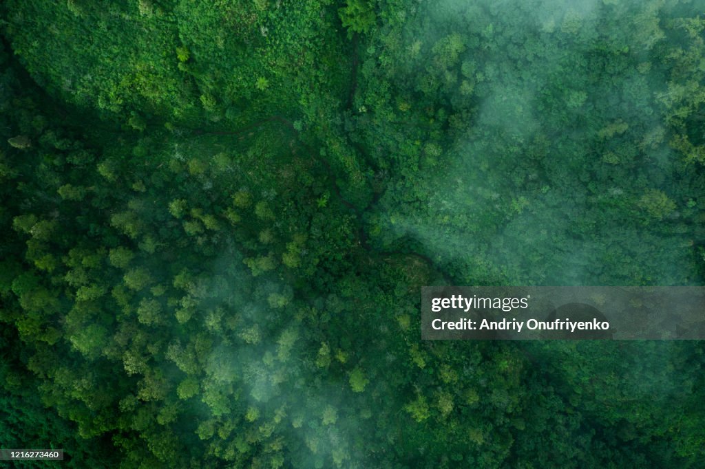 Green pattern