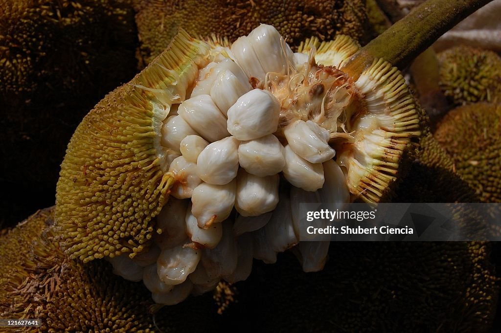 Marang