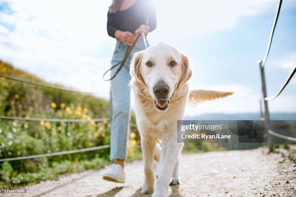 Junge Frau geht ihren Hund in California Park