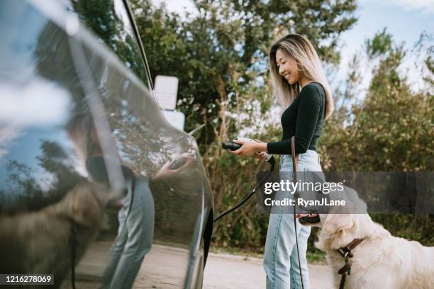 vrouw met hond plugs in elektrisch voertuig op te laden - elektrische auto stockfoto's en -beelden