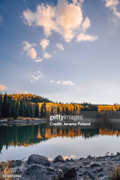 coucher de soleil tiré d’un lac dans les couleurs d’automne d’automne dans la forêt nationale de grand mesa dans le bel ouest du colorado - lac reflection lake photos et images de collection