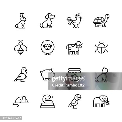 1 994点の亀 イラストのストックフォト Getty Images 1 994点の亀 イラストのストックフォト Getty Images