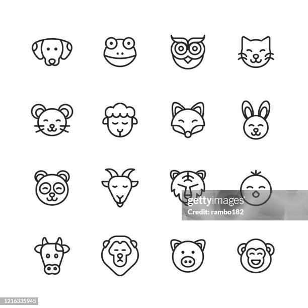 ilustrações, clipart, desenhos animados e ícones de ícones da linha animal. curso editável. pixel perfeito. para mobile e web. contém ícones como cão, sapo, coruja, pássaro, gato, gatinho, rato, ovelha, raposa, coelho, panda, cabra, leão, tigre, pintinho, porco, macaco. - jardim zoológico