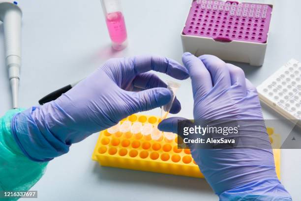medical worker handling eppendorf tube - eppendorf tube stock pictures, royalty-free photos & images