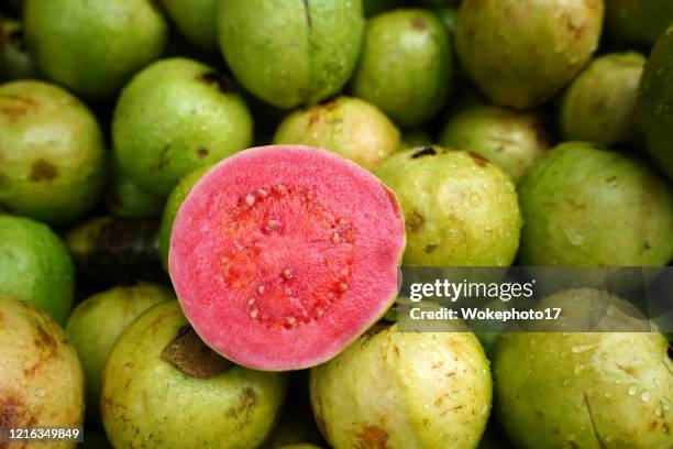 guava fruit - guave stockfoto's en -beelden