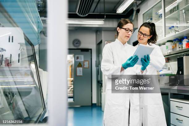 two scientists discussing data in laboratory - laboratory stockfoto's en -beelden